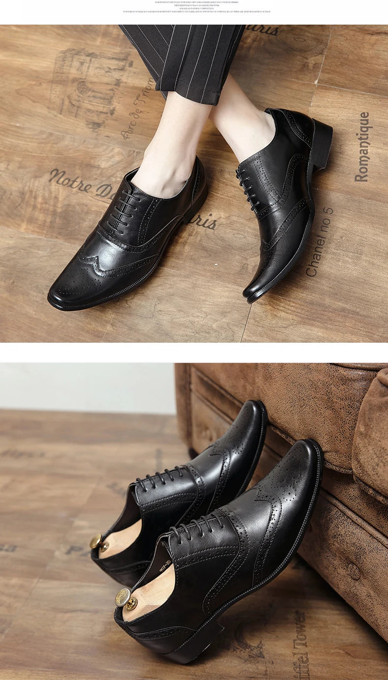 👑 Royal Brogue Wingtip – Oxford Noir & Marron