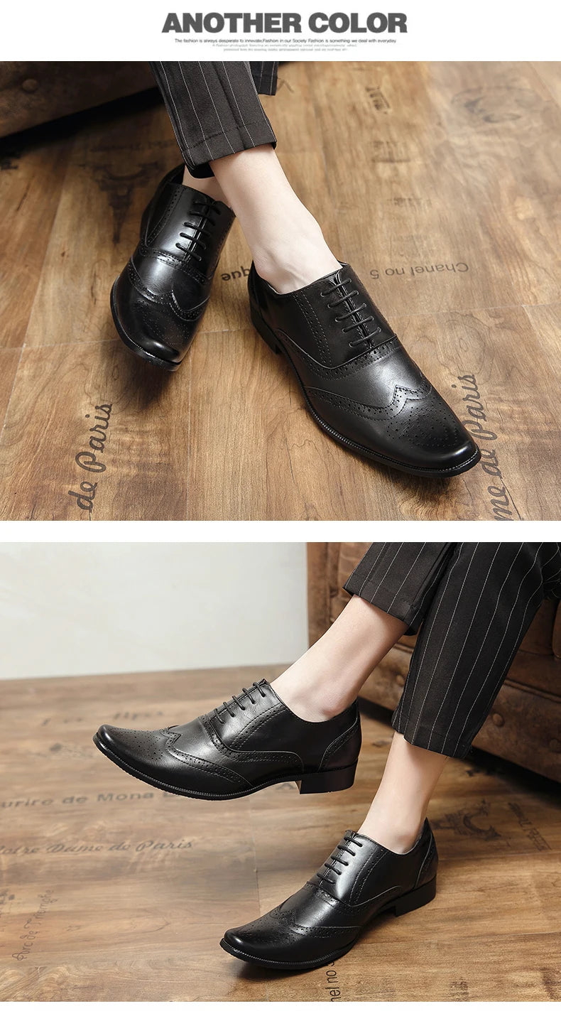👑 Royal Brogue Wingtip – Oxford Noir & Marron