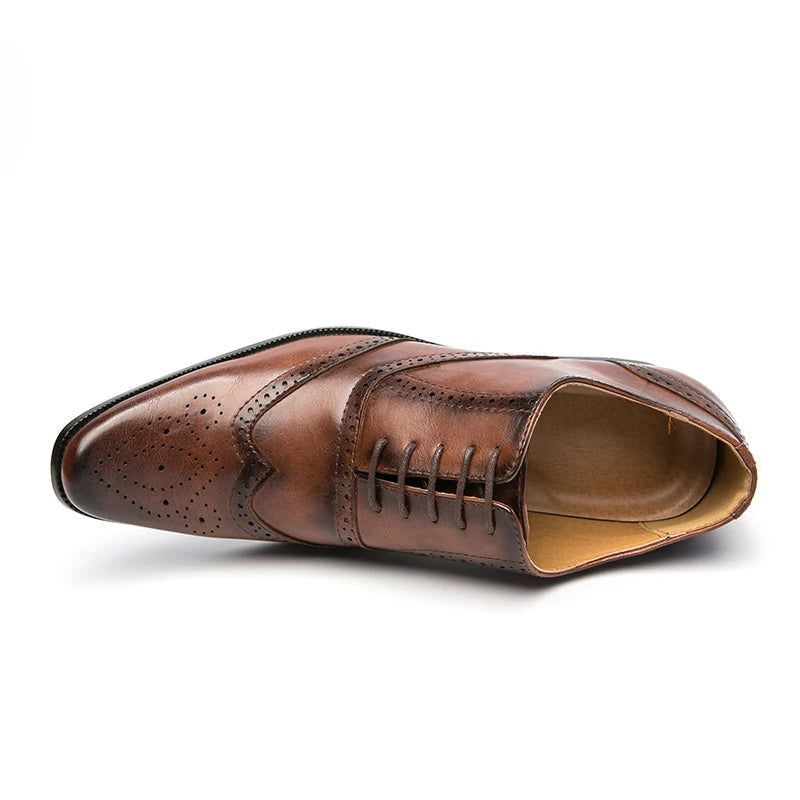 👑 Royal Brogue Wingtip – Oxford Noir & Marron